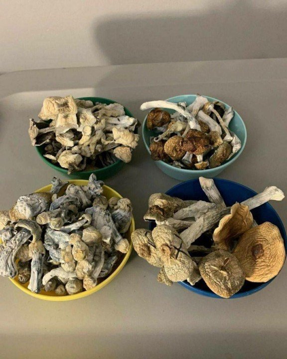 Malabar magic Mushroom delivery near me in UK