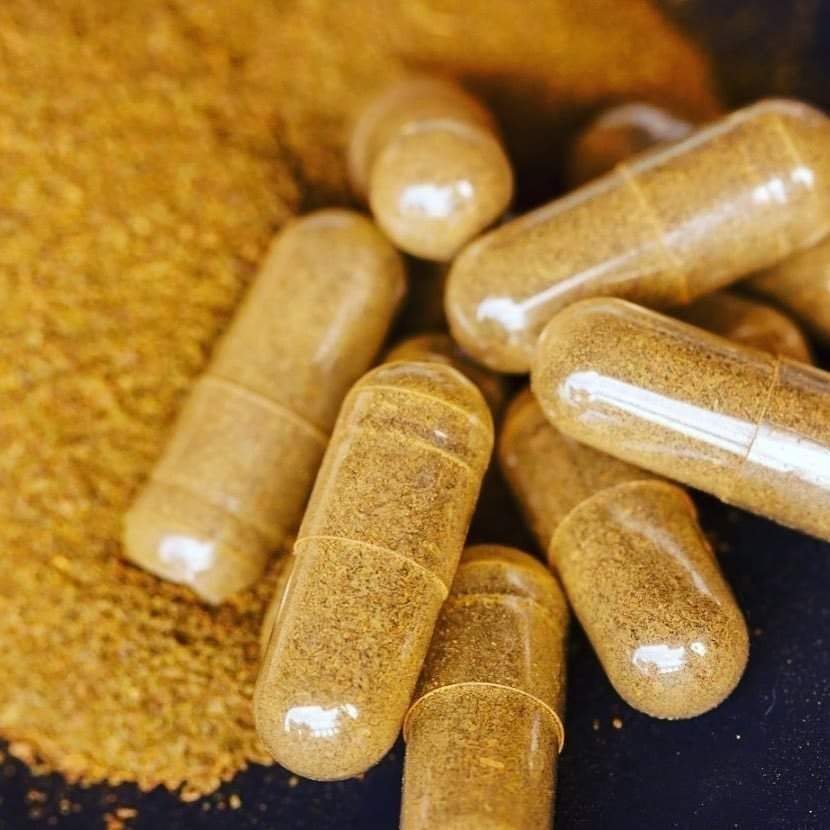 Where to buy Microdose Ibogaine Capsules in the UK and Europe: A New Path to Clarity and Wellness 🌱✨